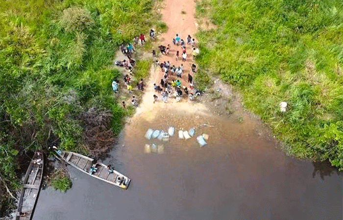 Direitos da Natureza é uma proposta jurídica para enfrentar o desmonte ambiental brasileiro.