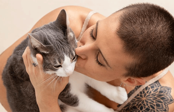 Dia Internacional do Gato: 10 dicas para entender e cuidar do pet