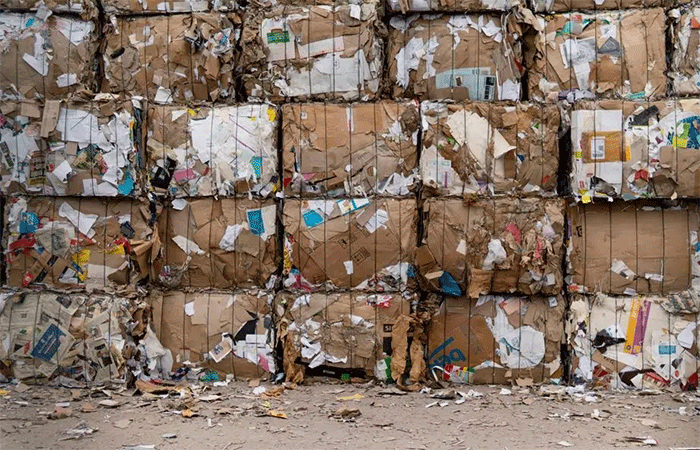 Reciclagem de papel: como funciona e por que é tão importante?