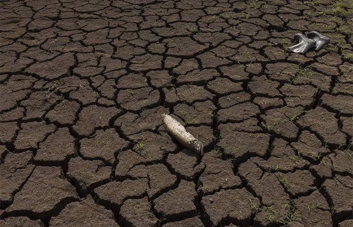 O 1% mais rico do Brasil contribui 7 vezes mais com crise climática que os 10% mais pobres, indica estudo