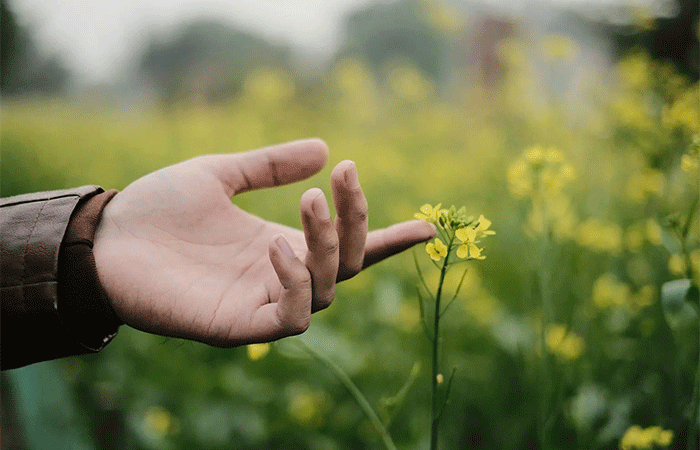 Estamos perdendo nossa conexão com a natureza