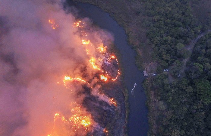 Mudanças climáticas ameaçam biomas brasileiros e destacam papel do ecoturismo na COP30