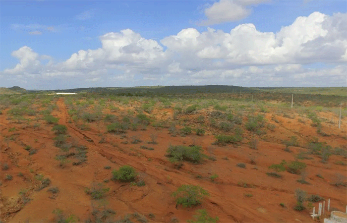 Desertificação é desafio global que ameaça Semiárido brasileiro