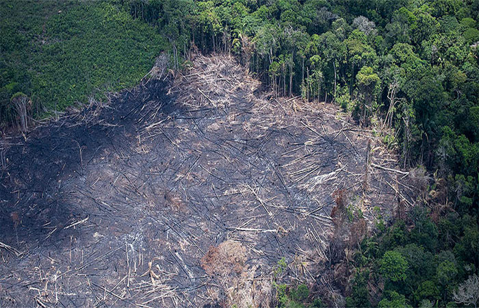 Desmatamento explica 75% da perda de chuvas na Amazônia, diz estudo