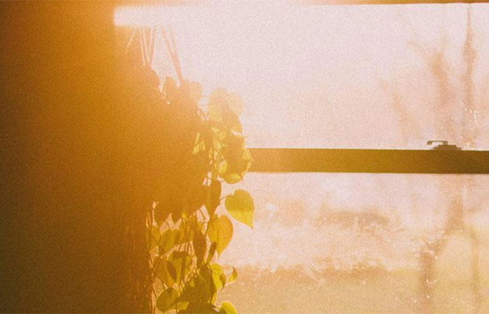 Cientistas criam capa transparente que transforma janelas padrão em painel solar