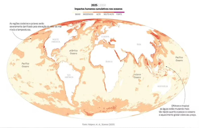 O que estamos fazendo com os oceanos? Novo estudo nos EUA revela impactos preocupantes