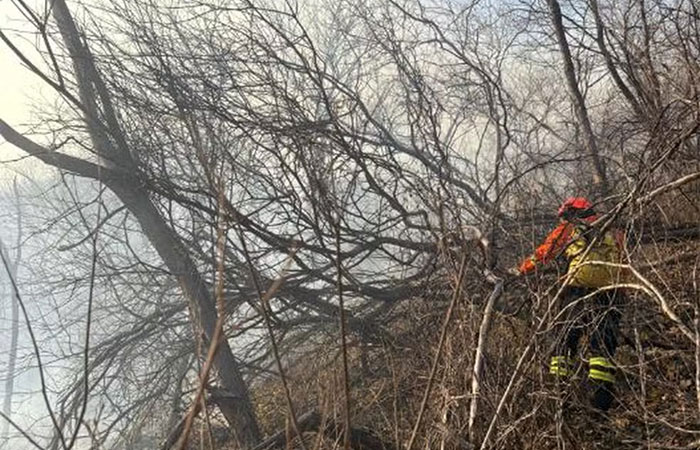 Incêndio florestal no Sertão da Paraíba já consumiu 40% da vegetação nativa em serra