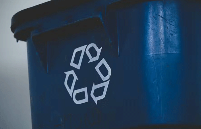 Nova organela funciona como “centro de reciclagem” dentro das nossas células