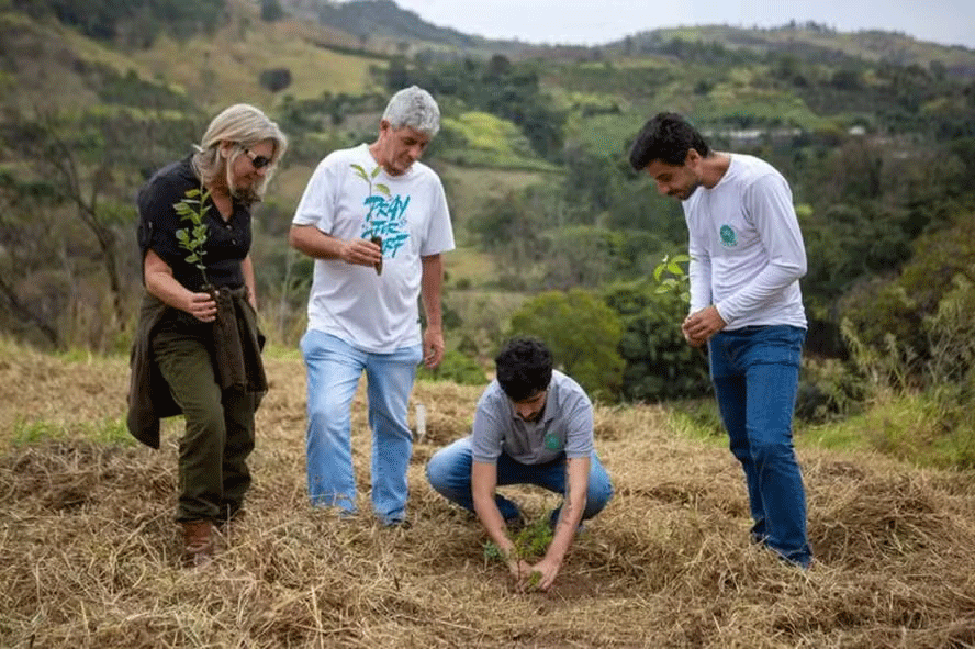 Projeto da Ypê, Imaflora e SOS Mata Atlântica vai investir R$ 2,2 milhões em restauração de área de preservação