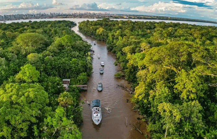 Floresta cai, temperatura sobe: desmatamento tropical causa 28 mil mortes anuais por calor