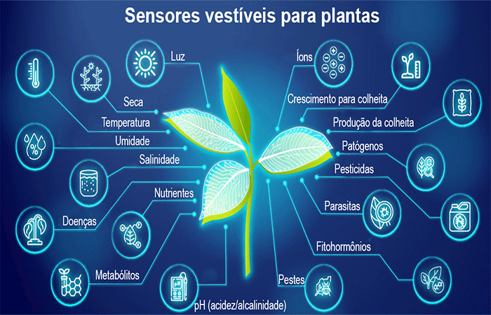 Sensores biodegradáveis em plantas acompanham em tempo real a saúde das lavouras