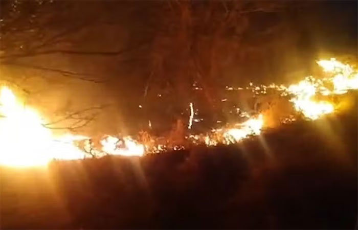 Vale dos Dinossauros, em Sousa, tem atividades suspensas após incêndio na vegetação