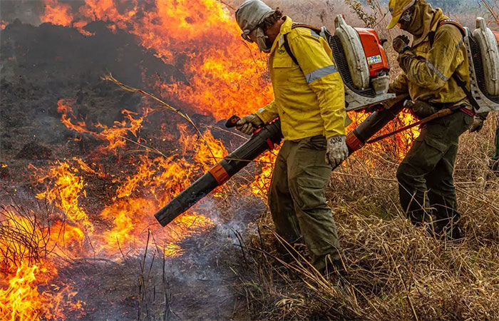 Pré-COP: Brasil propõe resposta global a incêndios florestais