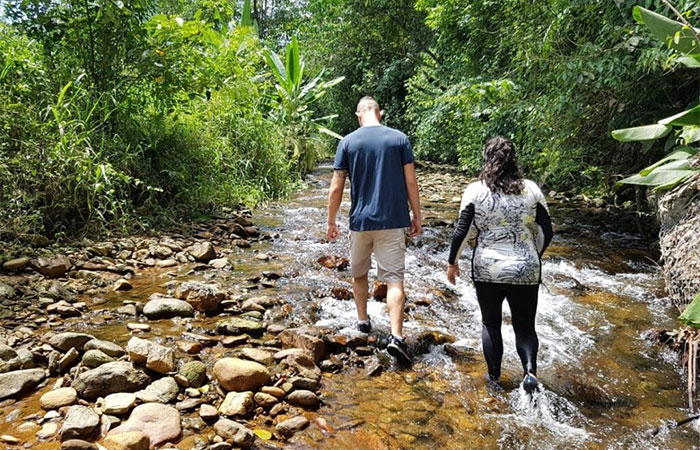 Ciência confirma os benefícios da natureza para a saúde mental