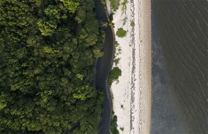 “Não existe Planeta B”, alerta astrofísico às vésperas da COP30