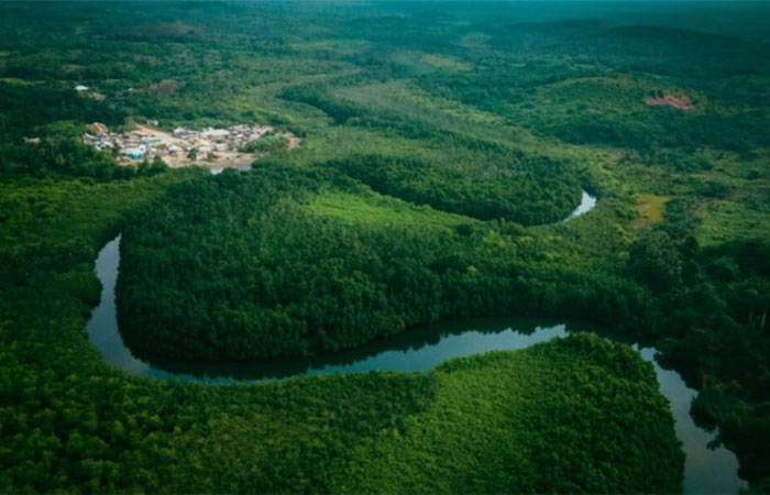 O maior tesouro da humanidade foi encontrado no Brasil e pode salvar o planeta