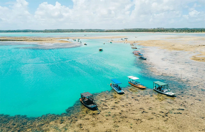 Selo Bandeira Azul: Conheça a praia mais preservada do Nordeste