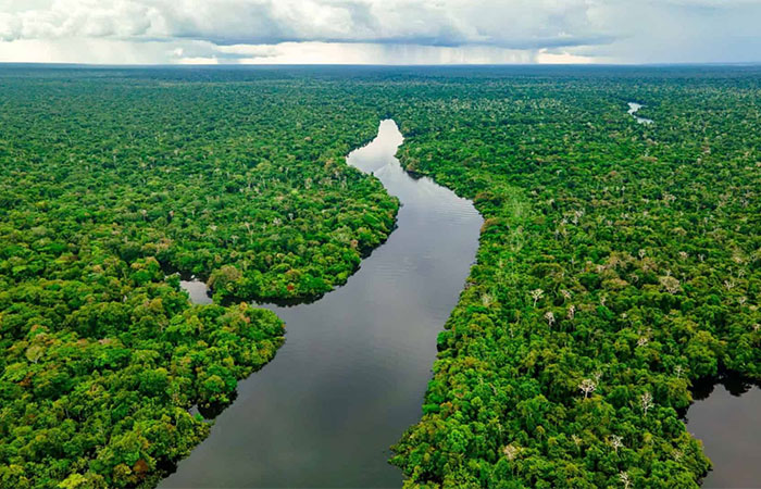 Ocupação da Amazônia por povos antigos revela lições de sustentabilidade