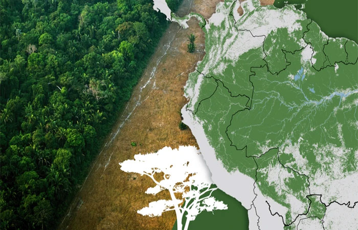 A destruição da Amazônia continua: ainda há tempo para salvá-la?