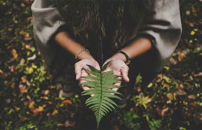 Brasil figura em 11º lugar em lista de países mais conectados com a natureza