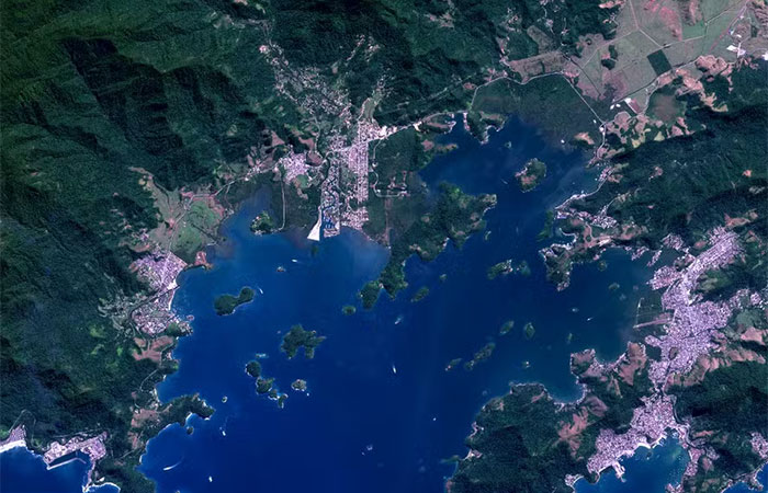 COP30 traz à mesa o potencial da Inteligência Artificial para proteger florestas e o clima