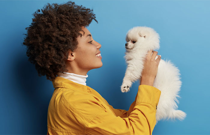 Convivência pode moldar comportamento e emoções entre cães e tutores