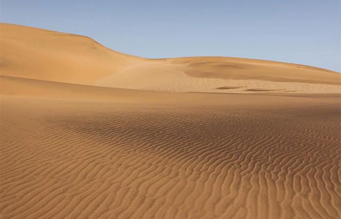 Por que um grau a mais na temperatura é uma catástrofe até para o ecossistema dos desertos