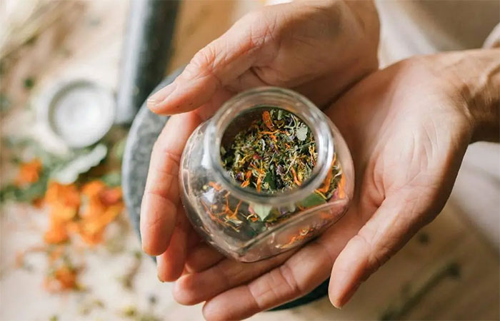 Estudo mapeia profunda relação humana com plantas medicinais