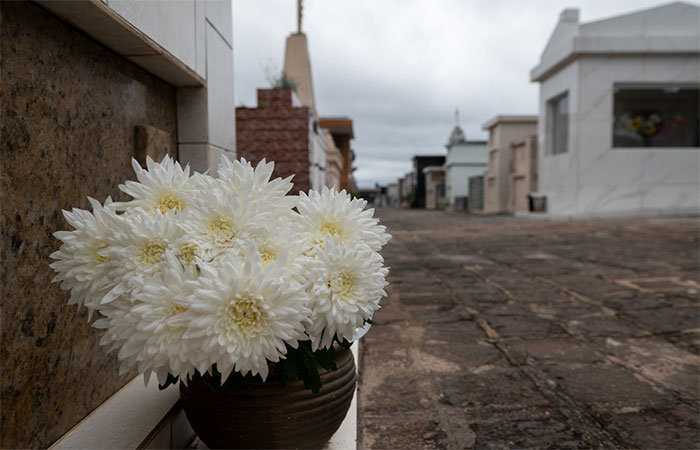 Dia de Finados Sustentável: Homenageie a Memória e Preserve o Meio Ambiente