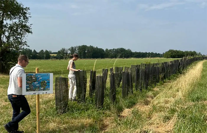 Floresta em pé: lavoura e árvores reduzem impacto de mudança climática