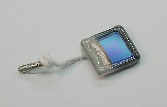 Folha semi-artificial transforma poluição e luz solar em químicos úteis