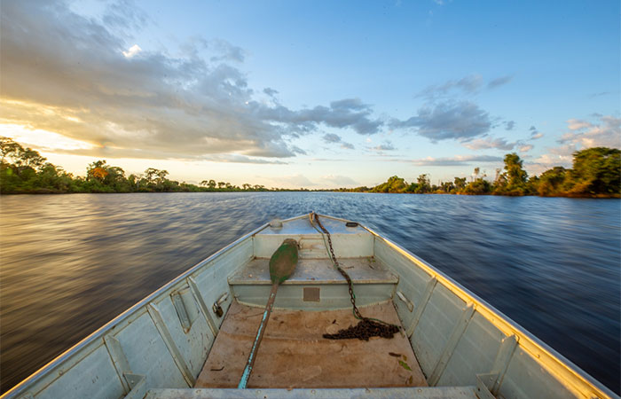 Amazônia e Cerrado registram queda de 11% no desmatamento