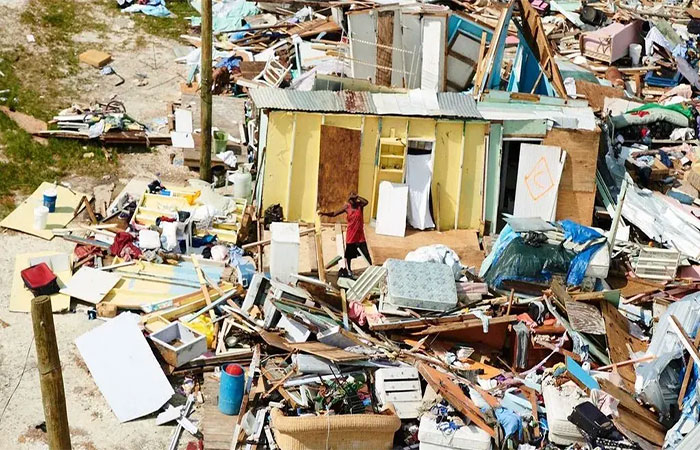 Grandes furacões provavelmente levaram uma pequena ave das Bahamas à extinção