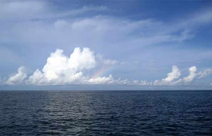 Mulheres lideram 69 soluções para o oceano na COP30, mas financiamento e governança ainda emperram avanços