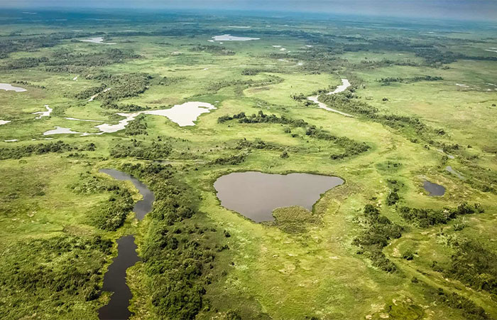 Pantanal vive o período mais seco das últimas quatro décadas