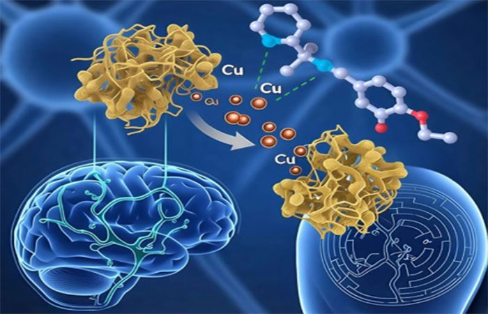 Pesquisadores desenvolvem composto químico com potencial contra doença de Alzheimer