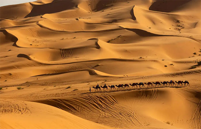 Pesquisa prevê mudanças no clima do Deserto do Saara nos próximos anos
