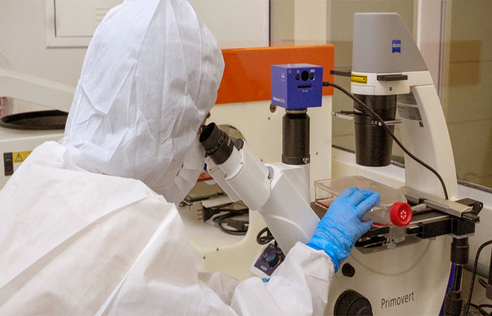 Biogel desenvolvido em parceria com a USP promove cicatrização de feridas graves