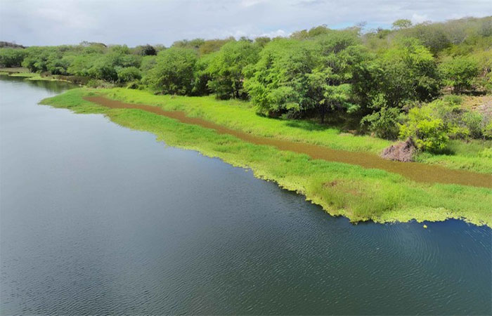 Ações buscam preservar rios da Paraíba