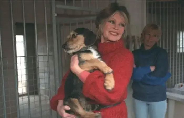 Brigitte Bardot morre aos 91 anos e deixa legado marcante na luta pelos direitos animais