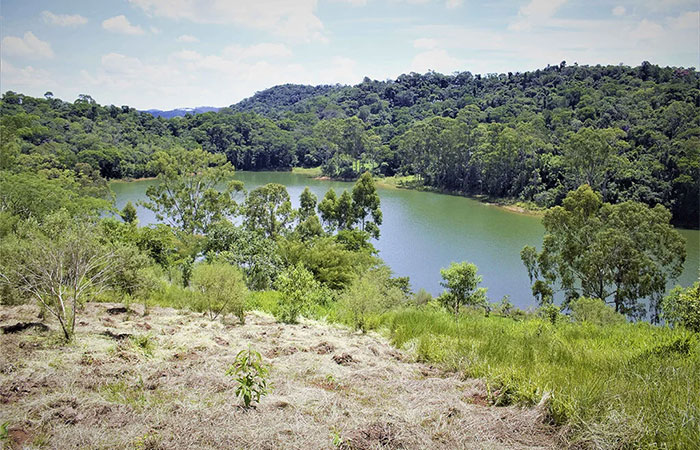 Viva Água expande ações para SP e Bahia durante seca histórica