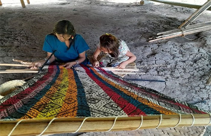 Escolas Vivas levam educação enraizada ao território