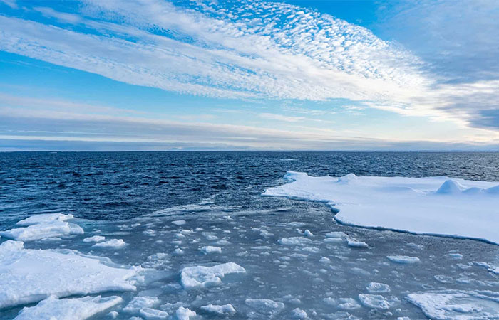 Conheça a “vida estranha” que mora nas profundezas do Ártico