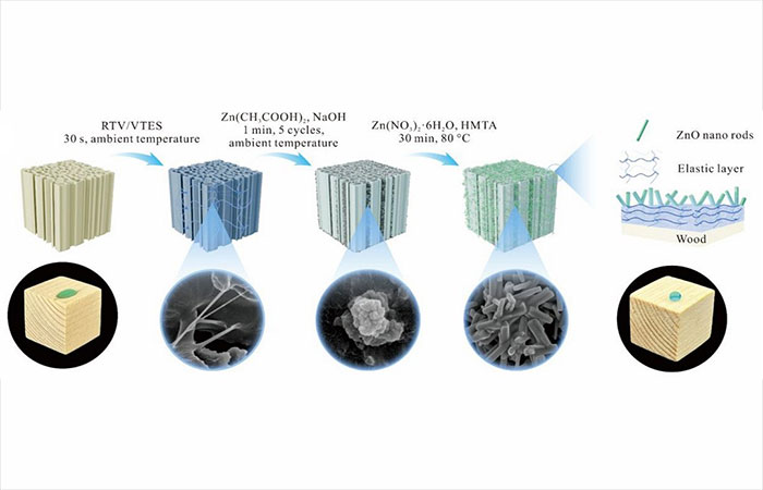 Madeira super-hidrofóbica repele a água como borracha