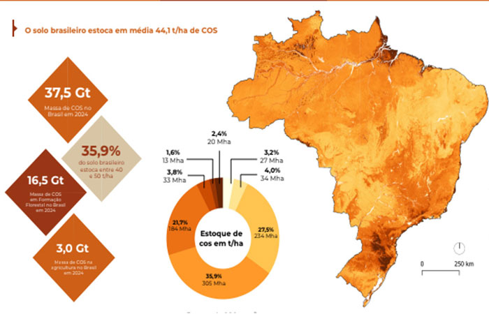 Mais da metade do carbono orgânico armazenado no solo brasileiro está na Amazônia