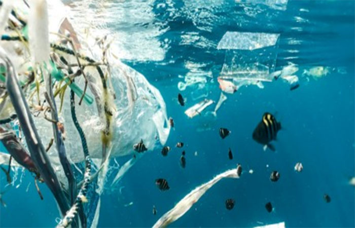 Quase a metade dos ambientes aquáticos do mundo está gravemente contaminada por lixo