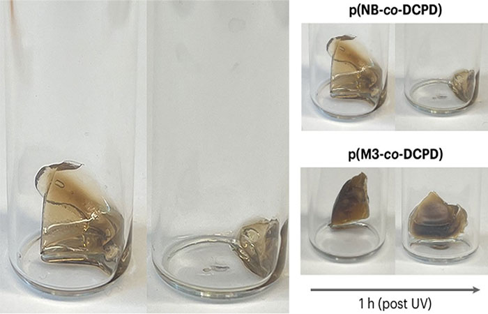 Plásticos são programados para se autodestruir em dias ou meses