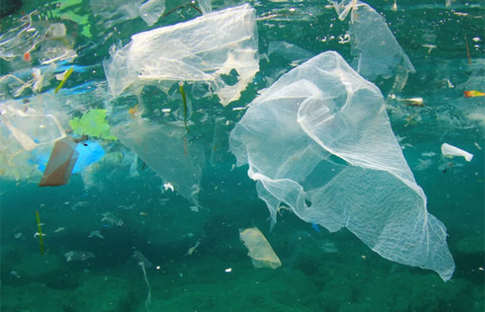 Saúde do oceano e equilíbrio climático dependem da redução da emissão de CO2 e queima de combustíveis fósseis