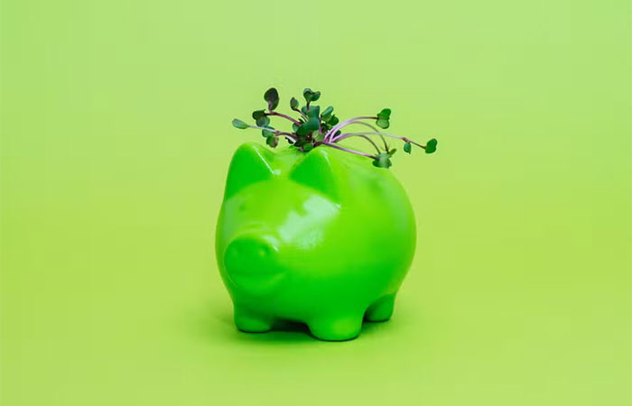 Entre retrocessos políticos e oportunidades econômicas, investimento sustentável entra em nova fase, diz banco suíço