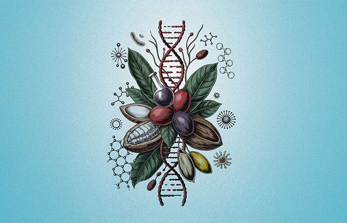 Empresas impactam a biodiversidade da qual dependem — revela relatório do IPBES